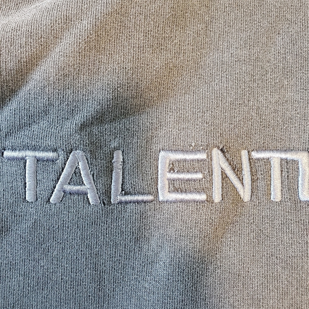Talentless Heavyweight Gray Hoodie - Picture 3 of 13